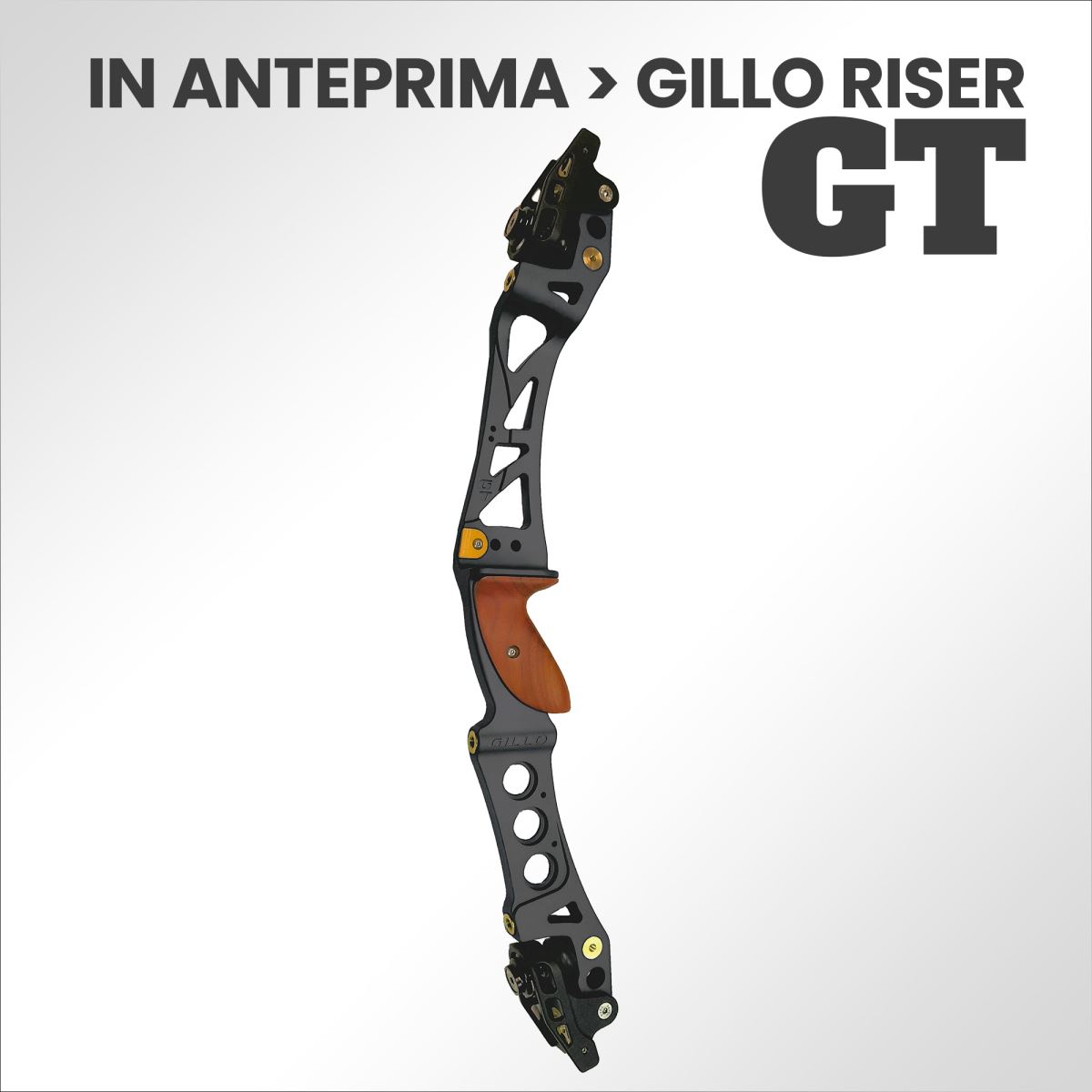 Scopri il nuovo Riser GILLO GT disponibile ora!